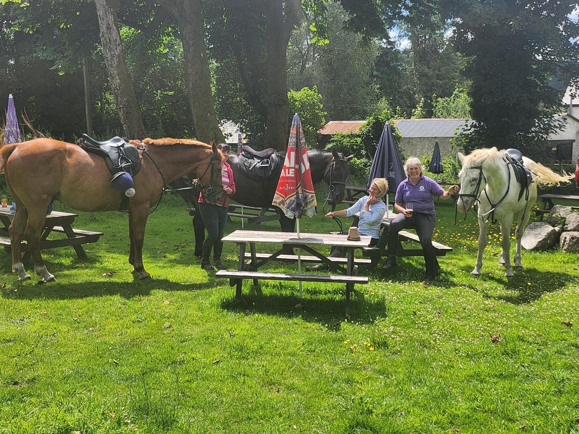 East Dart Inn Yelverton Bagian luar foto
